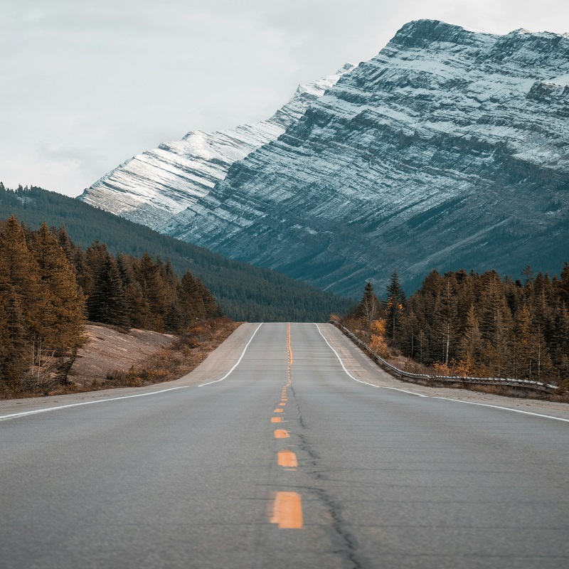 mark-basarab-z8ct_Q3oCqM-unsplash
